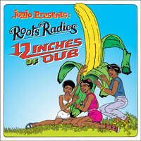 Confessions Of A Dub Engineer - Roots Radics