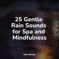 Waves of Rain - Rain Sounds & Nature Sounds & Sounds of Nature for Deep Sleep and Relaxation & Sleeping Music