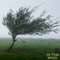 Blowing Through - Breezy