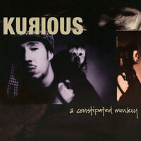 Walk Like a Duck - Kurious
