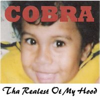 Opps Stay Weary - Viper & Cobra