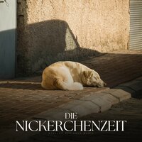 An Array of Building Materials - Entspannende Musik für Hunde
