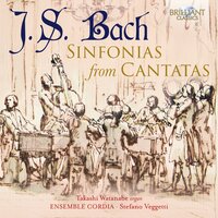 Concerto from Cantata BWV 35 Geist und Seele wird verwirret, Pt. 1 - Ensemble Cordia & Stefano Veggetti & Takashi Watanabe & Johann Sebastian Bach