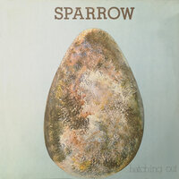 Hiawatha - Sparrow
