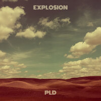 Springtime of Youth - PLD