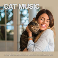 Calm Sleeping Music For Cats - Cat Music & Music For Pets & Music For Cats