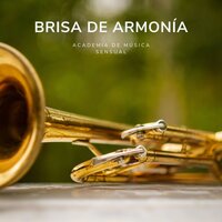Jazz Matutino - Academia de Música Sensual