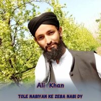Tole Nabiyan Ke Zeba Nabi Dy - Ali Khan