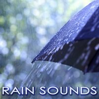 Dark Ambient New Age Music - Rainforest Music Lullabies Ensemble
