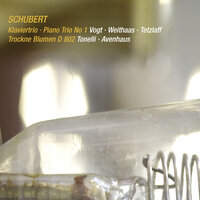 Schubert: Introduction and Variations, D. 802: Var. V - Chiara Tonelli & Silke Avenhaus & Франц Шуберт