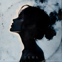 Тень - Shinai