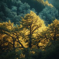 MagicalFeelings5 - Música Relajante & Canciones Infantiles Para Niños & Músicas para Relaxar