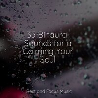 Lost in Calm - Nature Sounds Nature Music & Ruído branco & mindfulness meditation world
