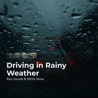 Road Side Cloudburst - Rain Sounds & White Noise & Raindrops Sleep & Sleep Rain