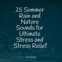 Windy Rain Weather - Brown Noise & Nature Sounds for Sleep and Relaxation & Smart Baby Lullaby