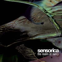 Ocean Me - Sensorica