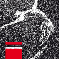 Crash For Fun - Terence Fixmer