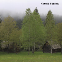 Nature Sounds for Deep Sleep, Nature Sounds, Pt. 4 - Nature Recordings & Nature Sounds & Nature Sounds Nature Music