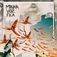 Vai Que - Zélia Duncan