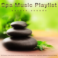 Spa Guitar Music - Massage Therapy & Spa Playlist & Spa Music Playlist