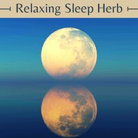 Instant Relaxation - Asian Meditation Music Collective