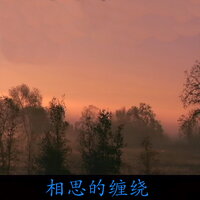 相思的缠绕 - 杭娇