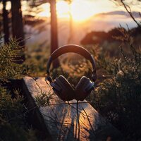 Softened Harmonic Motion - Lofi Every Day & Relaxation Reflections & Relaxing Bliss