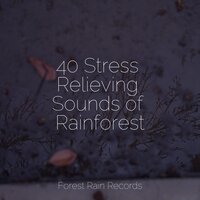 Ocean, Heavy, Rocks - Kings of Nature & Wellness & Lullaby Rain