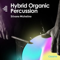 Dancing Internally - Silvano Michelino