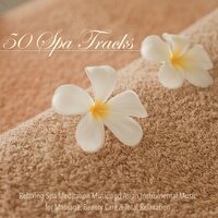 Relieve Stress with Benefits of Meditation - No Stress Ensemble