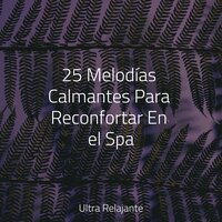 Vida Saludable - Academia de Música con Sonidos de la Naturaleza & Música de la Naturaleza & Saludo al Sol Sonido Relajante