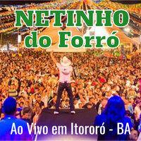 Vou Pegar Você - Netinho do Forró