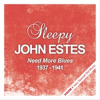 Working Man Blues - Sleepy John Estes