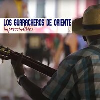 Tu No Lo Mereces - Los Guaracheros De Oriente