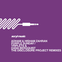 Triplets - Adham Zahran & Hisham Zahran & The Disclosure Project