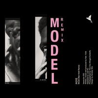Model - Poté & Nan Kolè
