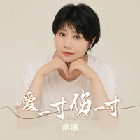 爱一寸伤一寸 - 南昭 & Banan