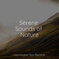 Loving Atmosphere - Relaxed Minds & Ambient Music Therpy & Nursery Rhymes