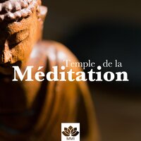 Sommeil paradoxal - Musique de Relaxation