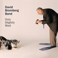 I'll Take You Back - The David Bromberg Band & David Bromberg