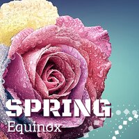Night Lullaby - Spring Juice