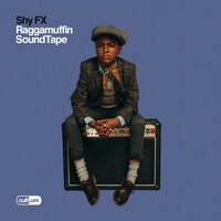 Call Me - Shy Fx & Maverick Sabre