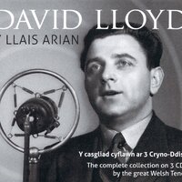 Annabelle Lee - David Lloyd