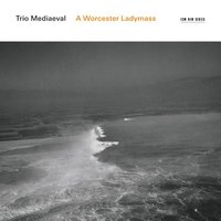 Salve rosa florum - Trio Mediaeval