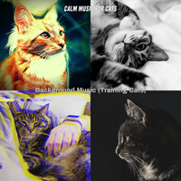 Cuddly (Sleeping Cats) - Calm Music for Cats