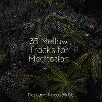 Beauty Essence - The Relaxation Principle & Schlaflieder Für Kinder & Sleep Sound Library