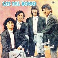 Hoy Vengo a Pedirte Perdón - Los Del Bohio