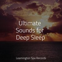 Music for Deep Sleep - Mother Earth Sounds & The White Noise Zen & Meditation Sound Lab & White Noise Babies