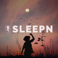 Mellow Night Forest - SLEEPN & Dylan Barnes & Robert Davy & Mark Dowling