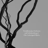 Skøren - Trondheim Jazz Orchestra & Sofia Jernberg & Olav Luksengård Mjelva